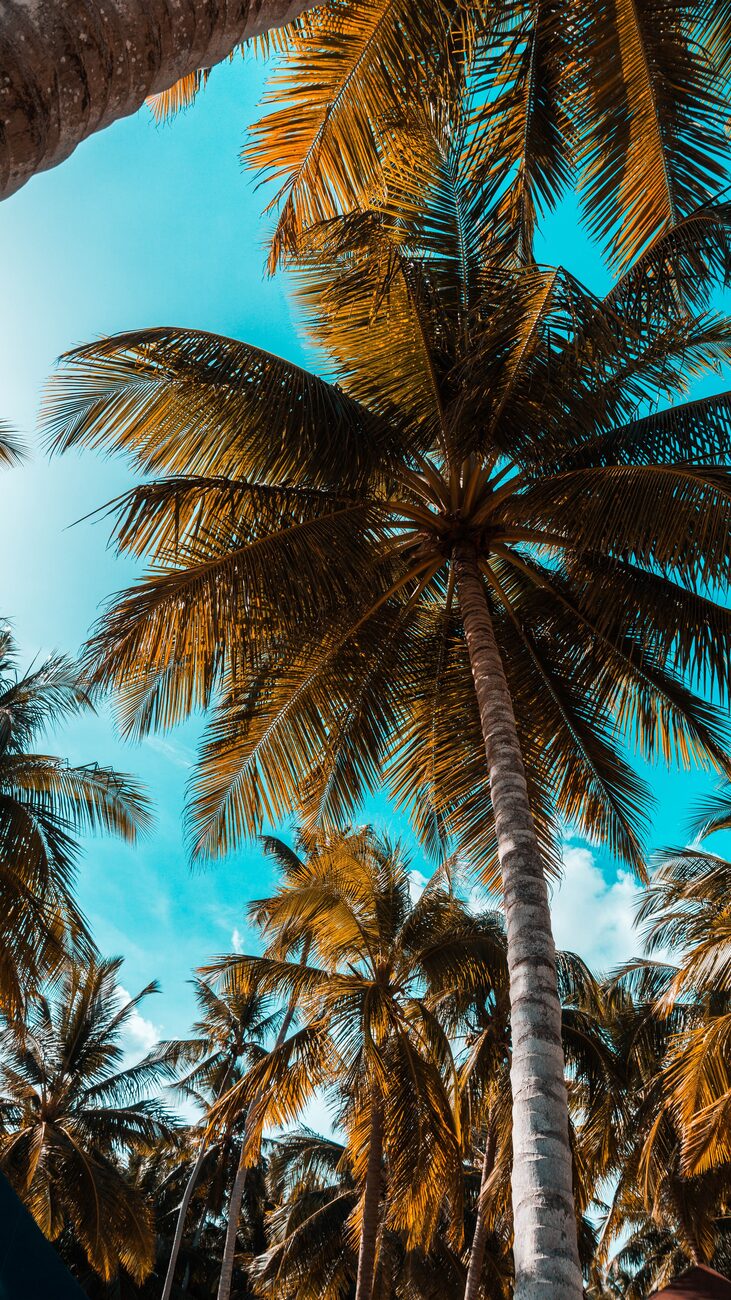 st croix all inclusive