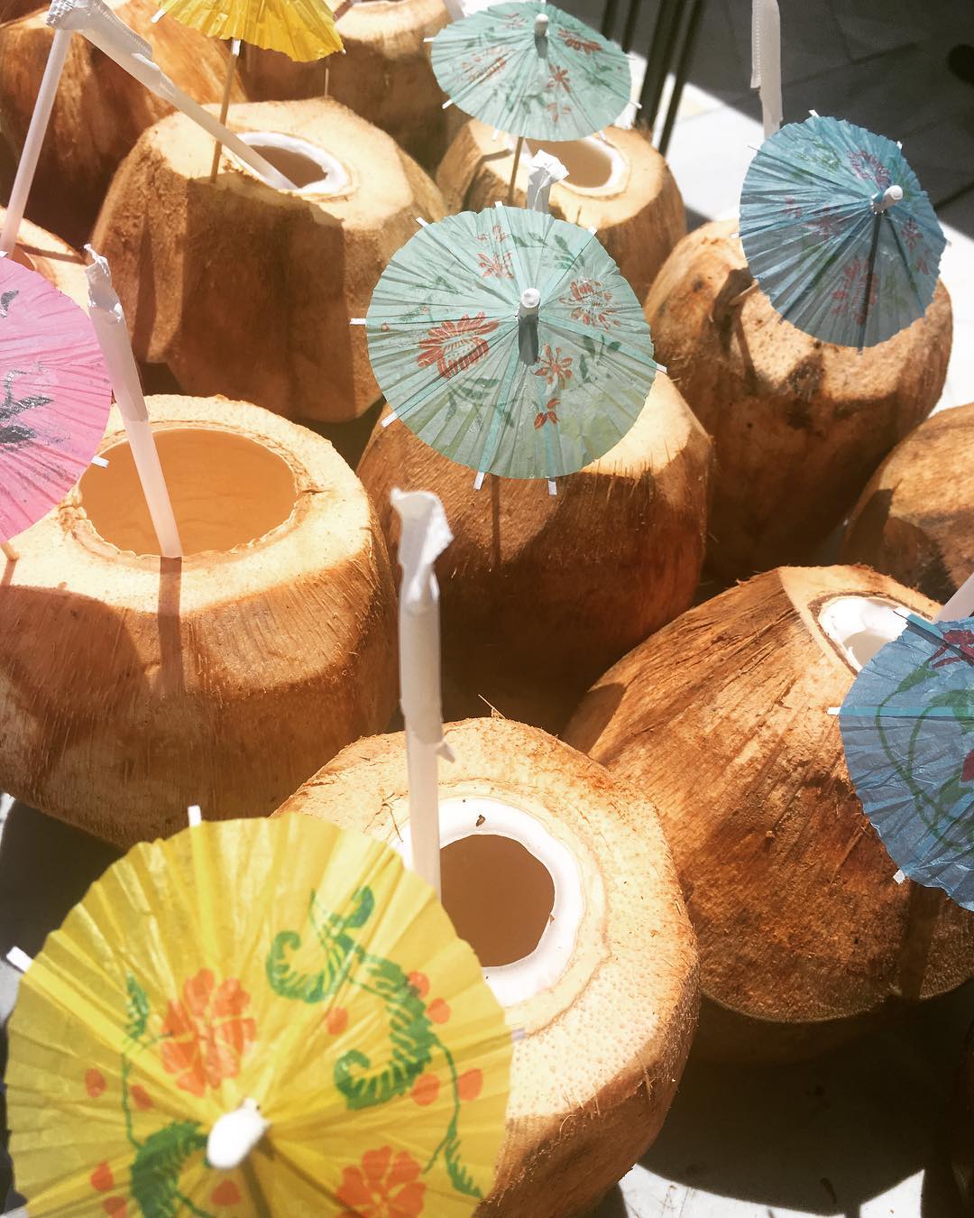 Coconut drinks, Luxury Bahia Principe Bouganville, Dominican Republic