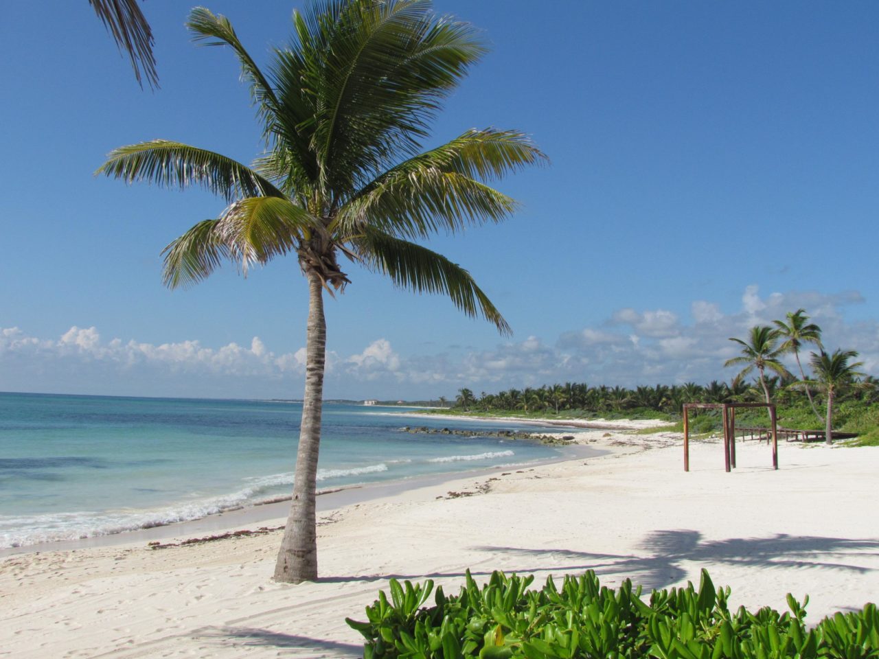 dreams tulum resort and spa