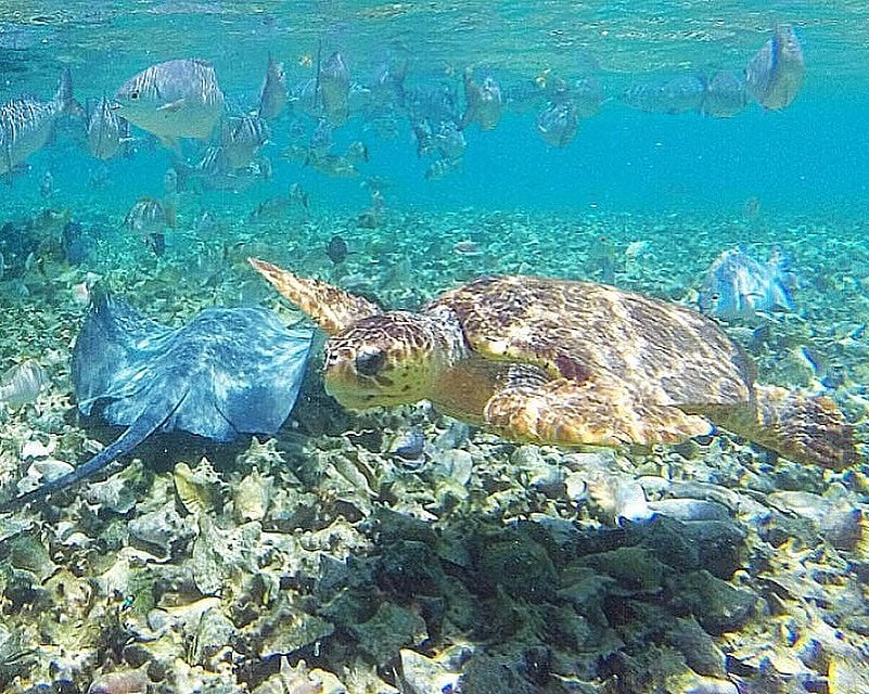 caye caulker belize