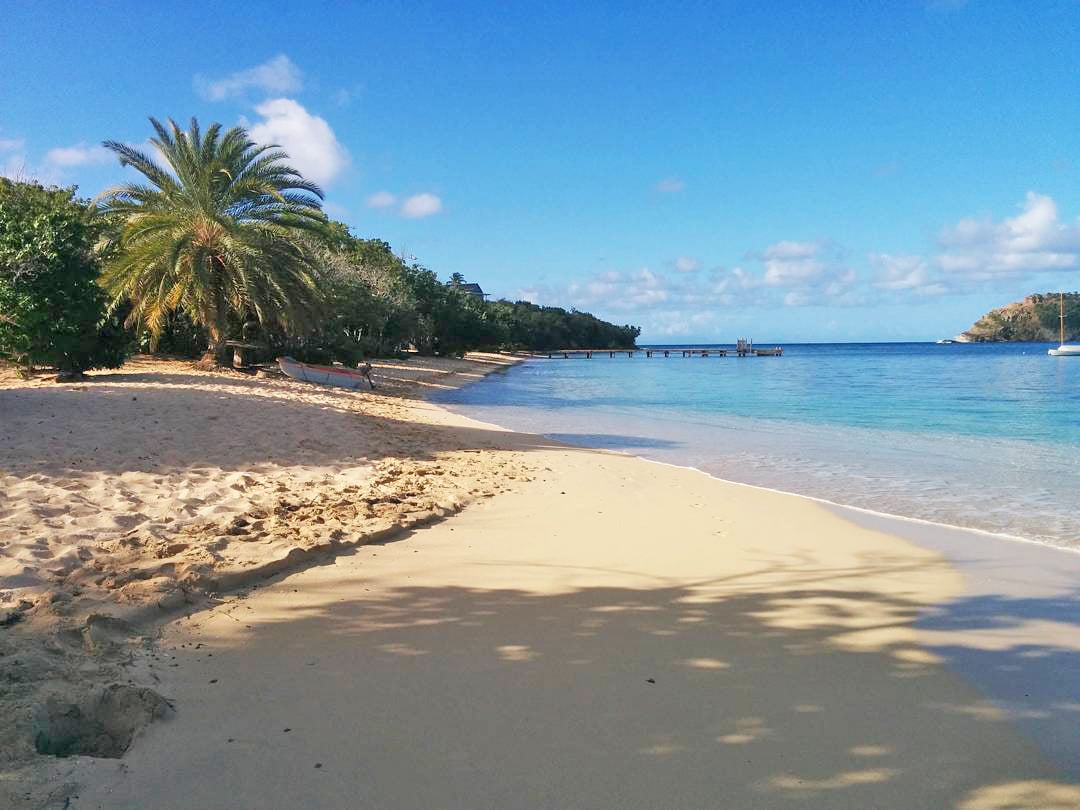 Discover Antigua