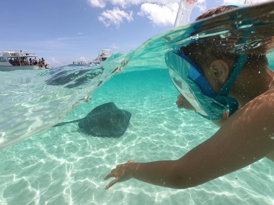 Little kid snorkeling in behind a stingray.