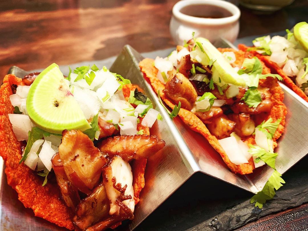 Octopus tacos served on a platter. 