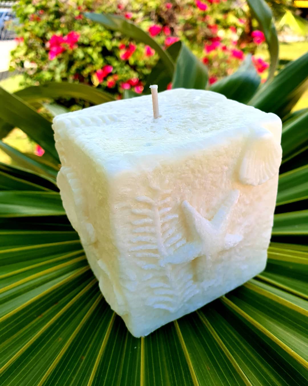 Soy wax candle sitting on palm tree leaf.