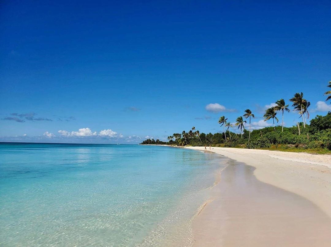 Beachfront view of Saona Island.